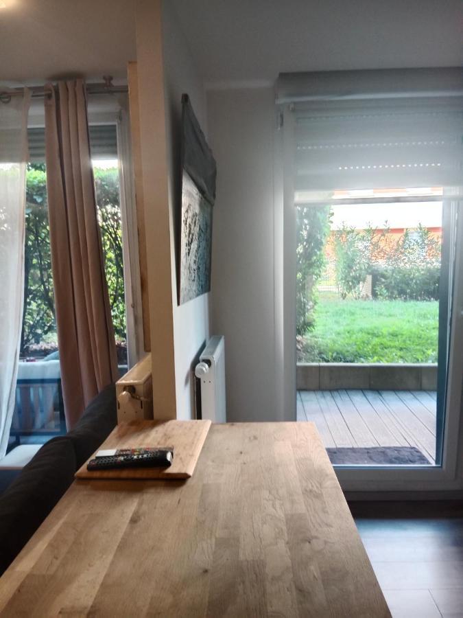 Tres Bel Appartement Rez De Jardin Appart De 53M2. Pfastatt Exterior photo