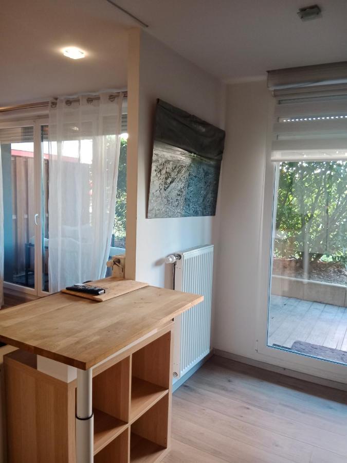 Tres Bel Appartement Rez De Jardin Appart De 53M2. Pfastatt Exterior photo